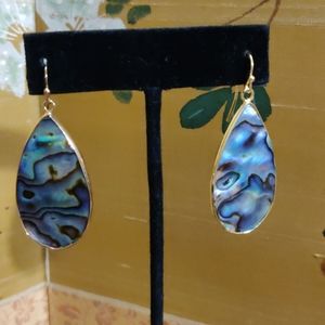 Gorgeous abalone large teardrop earrings (#145)